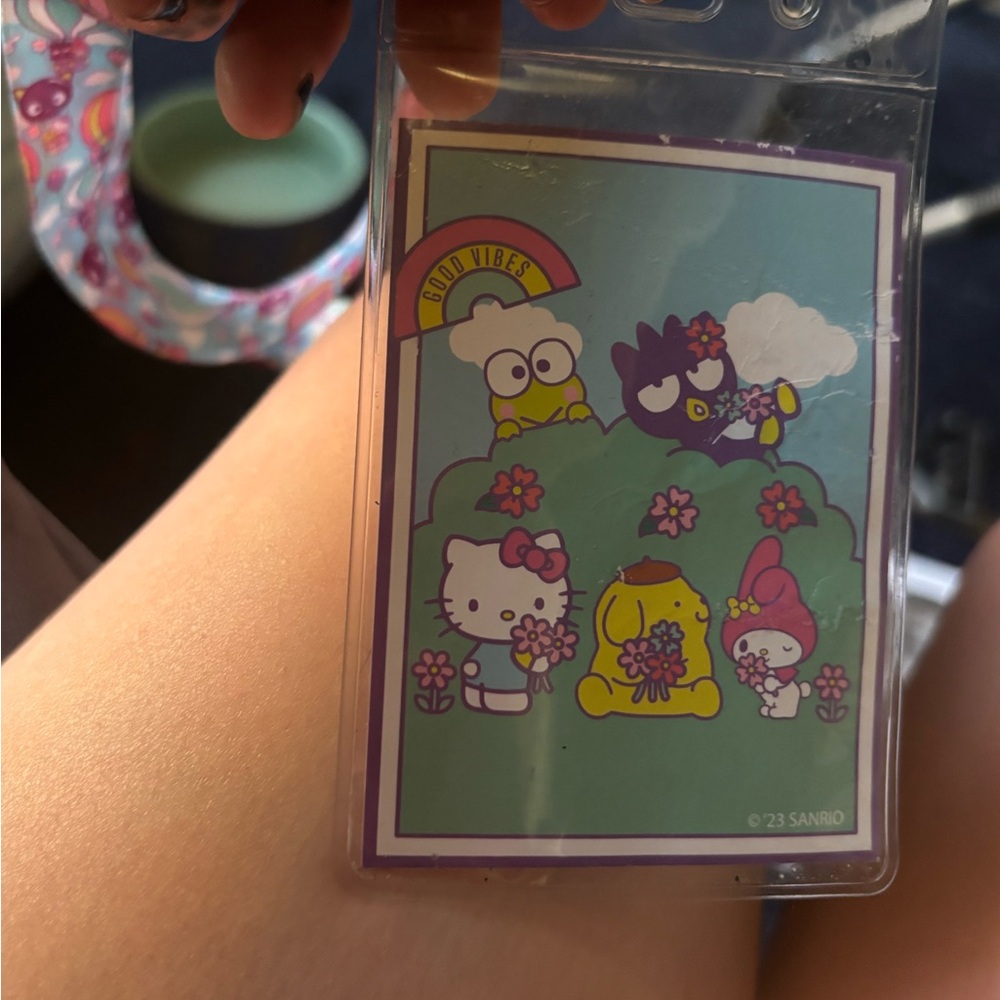 Sanrio Multicolor Character Card Holder